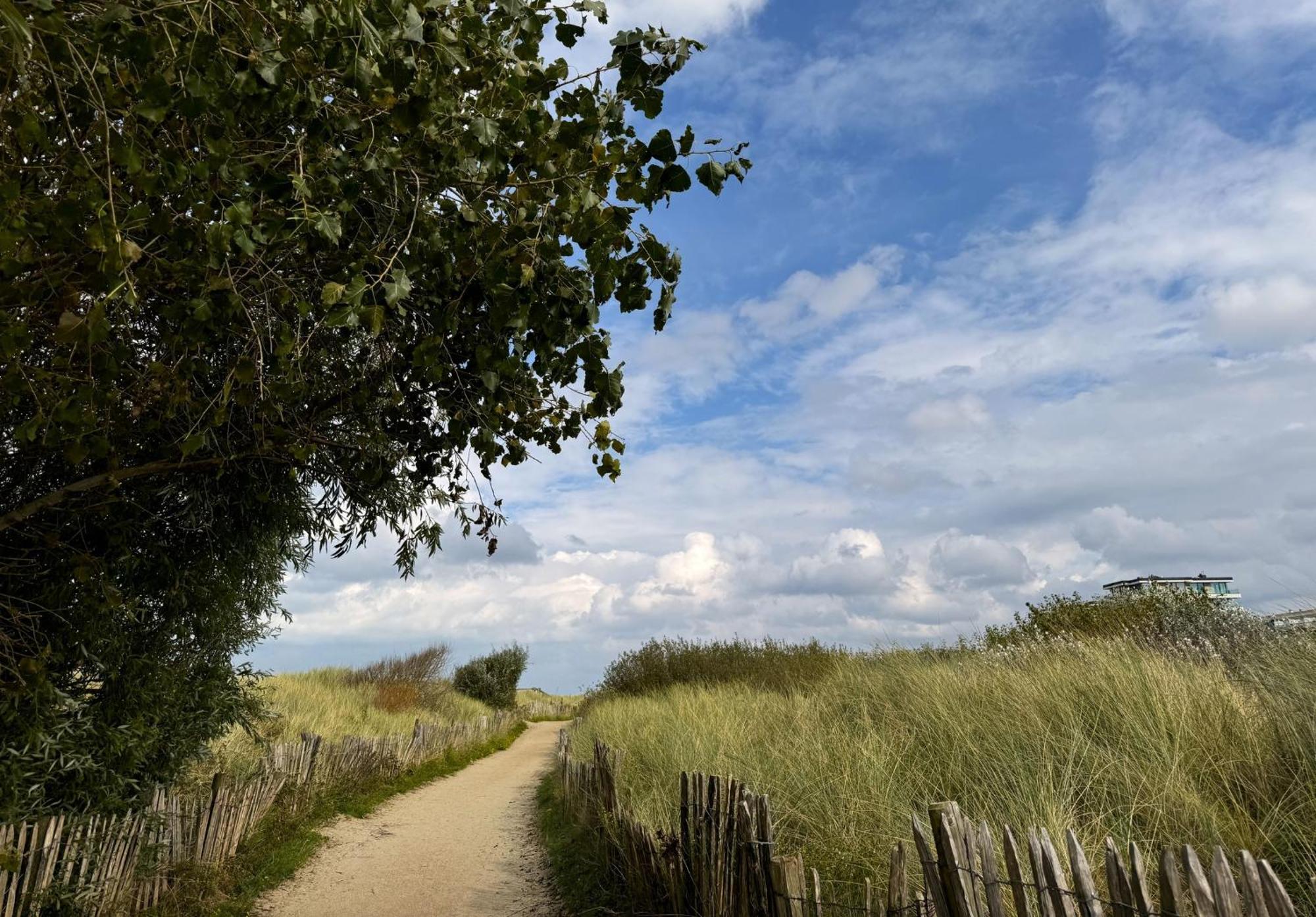 't Kabinet * Blankenberge